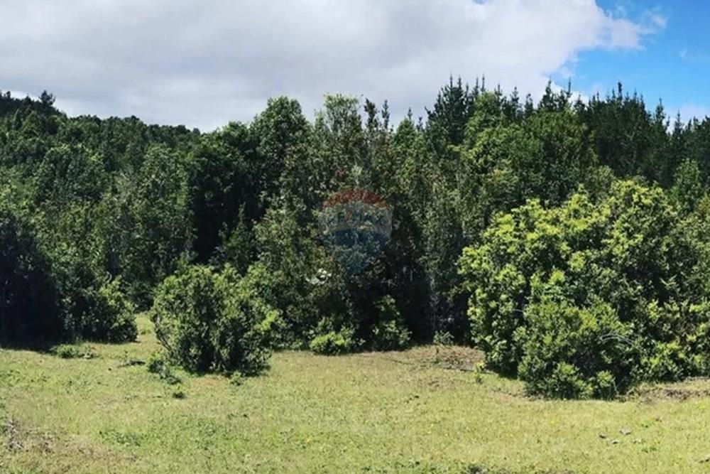 Parcela en venta en Corral — foto 5