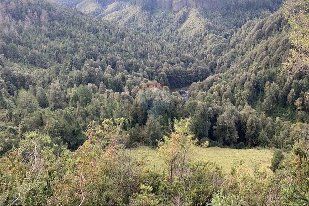 Parcela en venta en Corral — foto 9