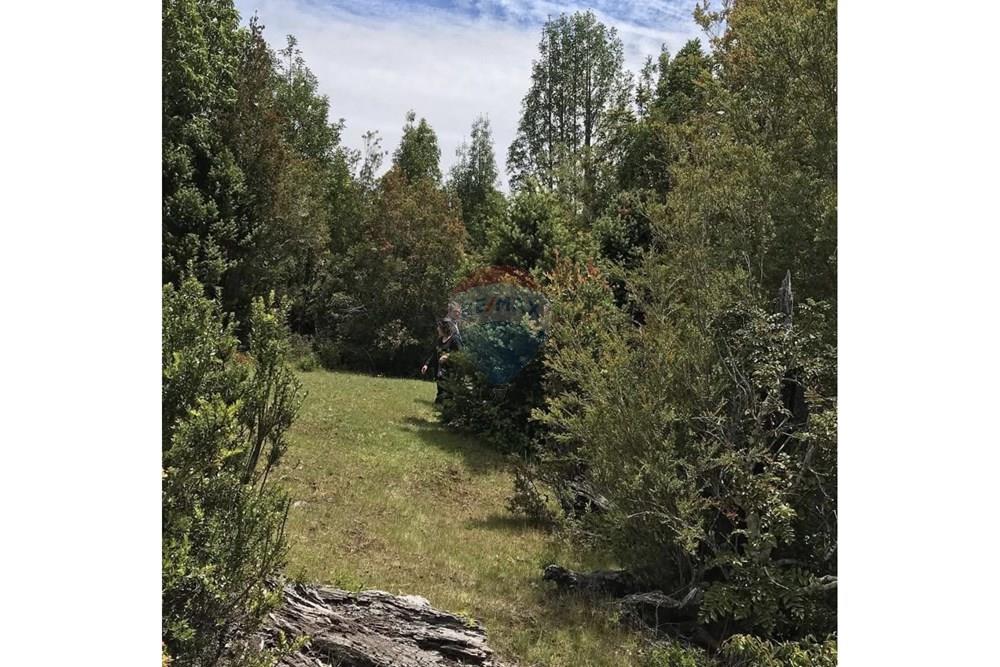 Parcela en venta en Corral — foto 9
