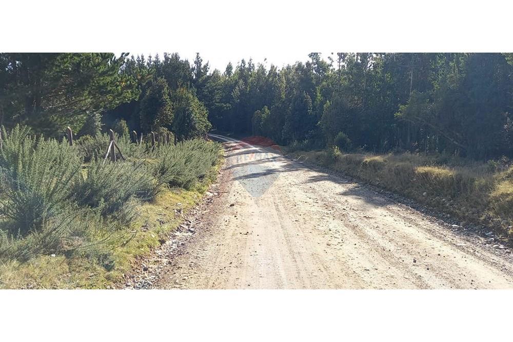 Parcela en venta en Corral — foto 4