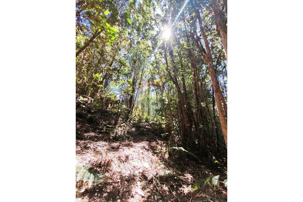 Parcela en venta en Corral — foto 7