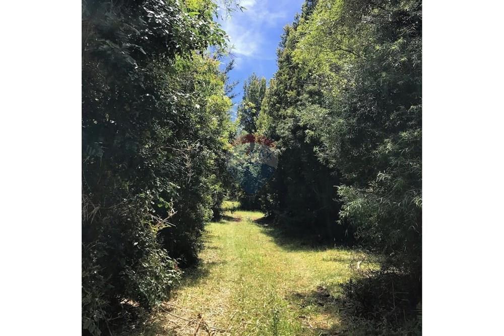 Parcela en venta en Corral — foto 10