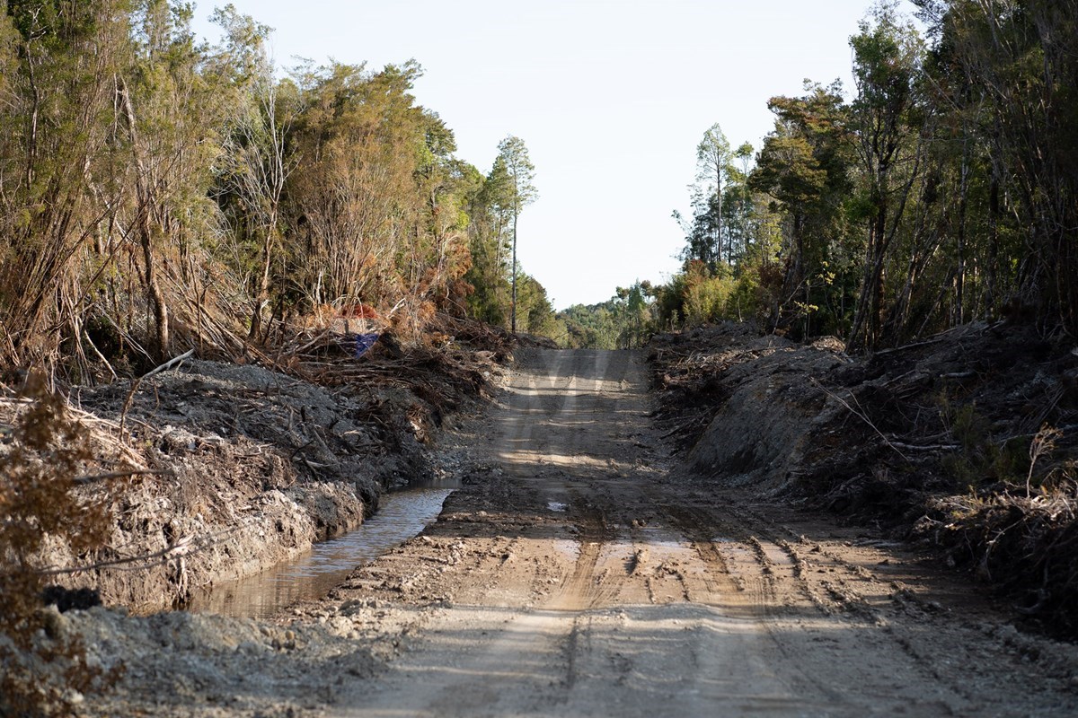 Parcela en venta en Chonchi — foto 6