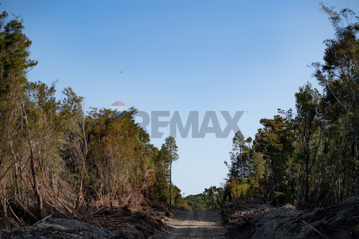 Parcela en venta en Chonchi — foto 8