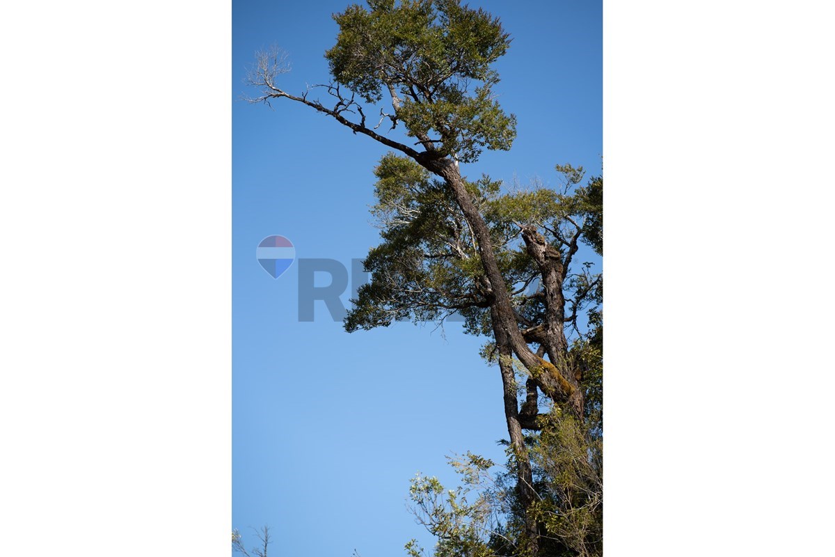 Parcela en venta en Chonchi — foto 10