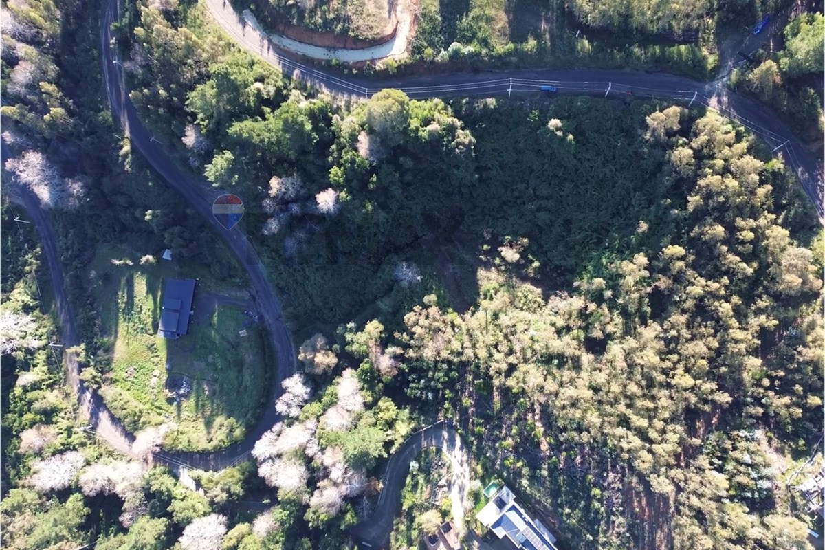 Terreno en venta en Concepción — foto 2