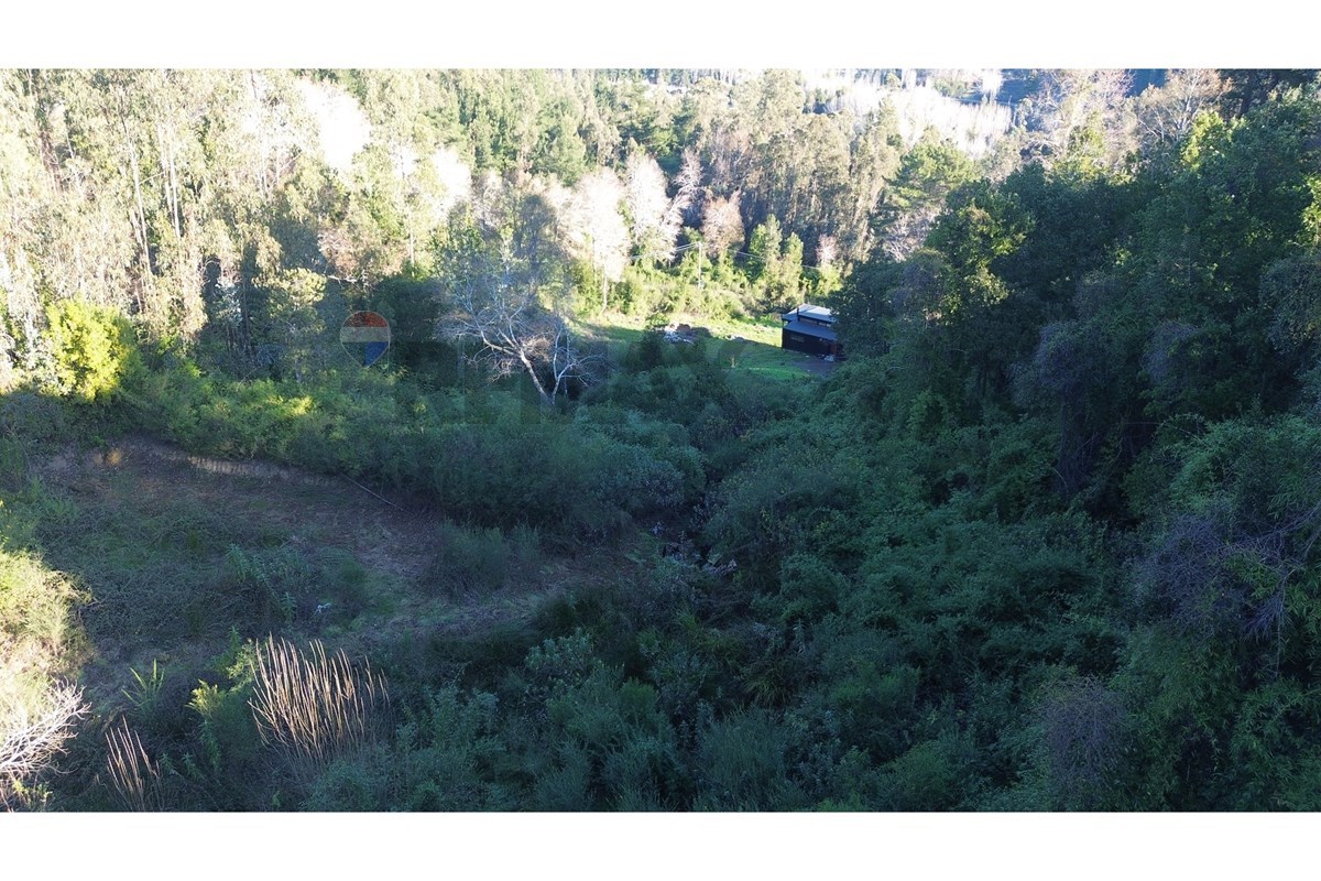Terreno en venta en Concepción — foto 6
