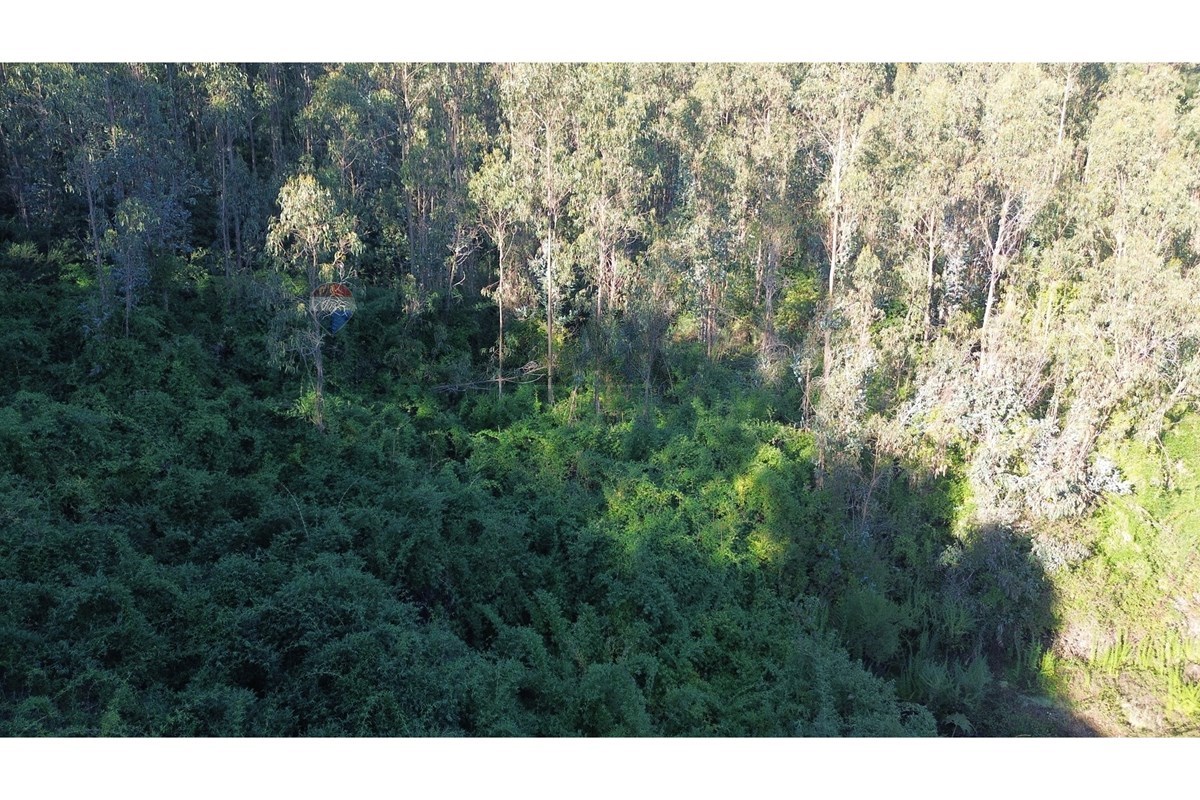 Terreno en venta en Concepción — foto 7