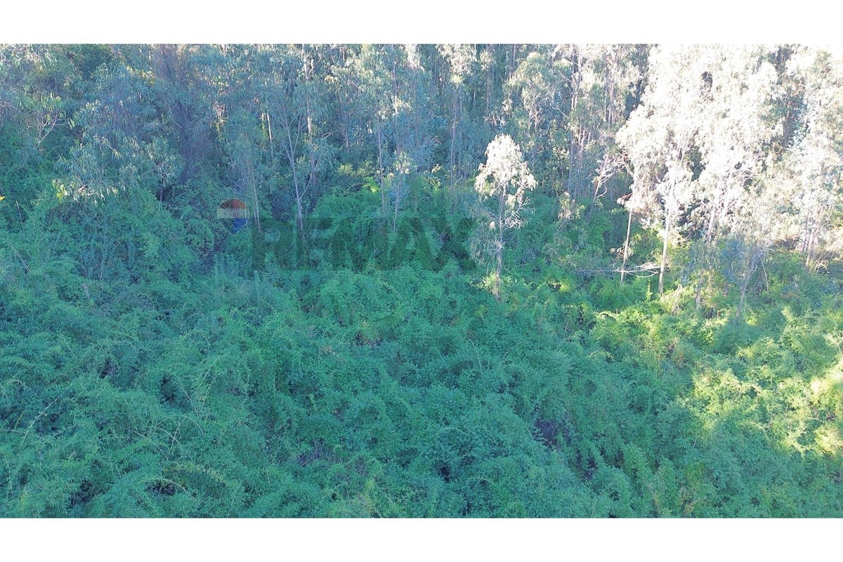 Terreno en venta en Concepción — foto 8