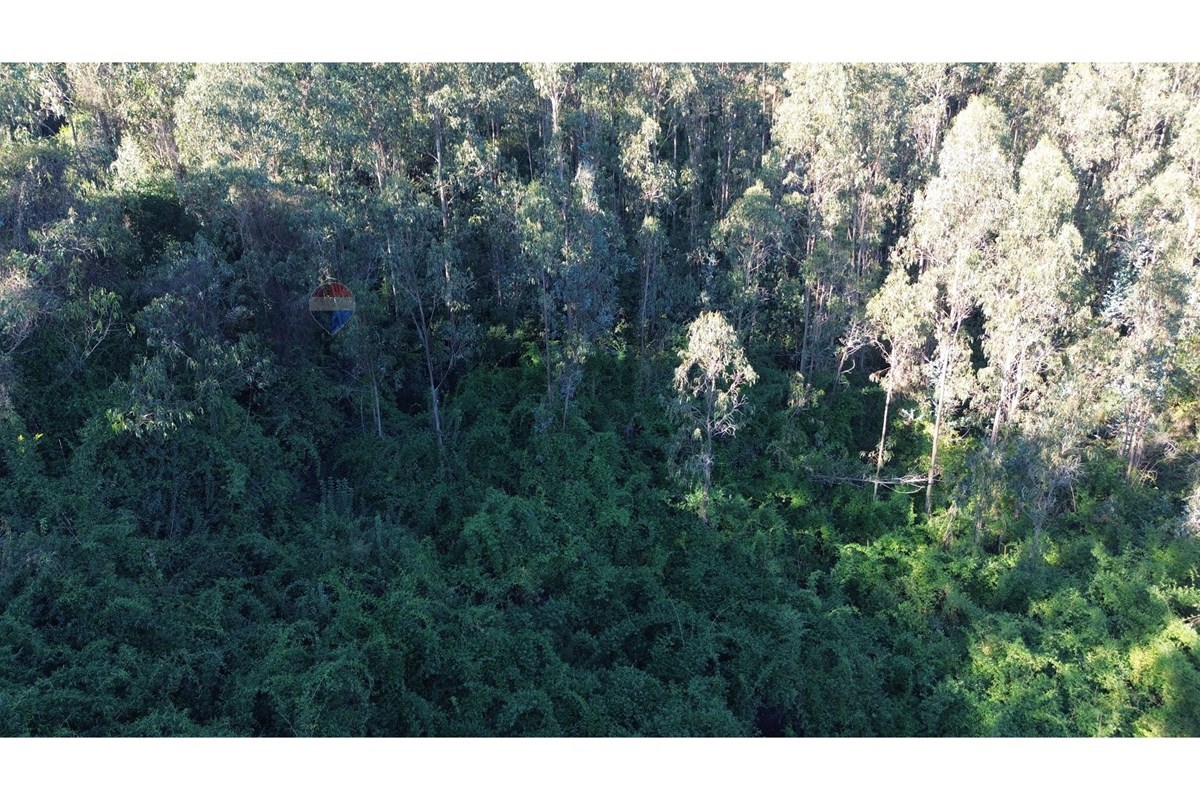 Terreno en venta en Concepción — foto 9