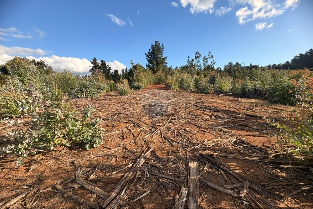 Terreno en venta en Florida — foto 6
