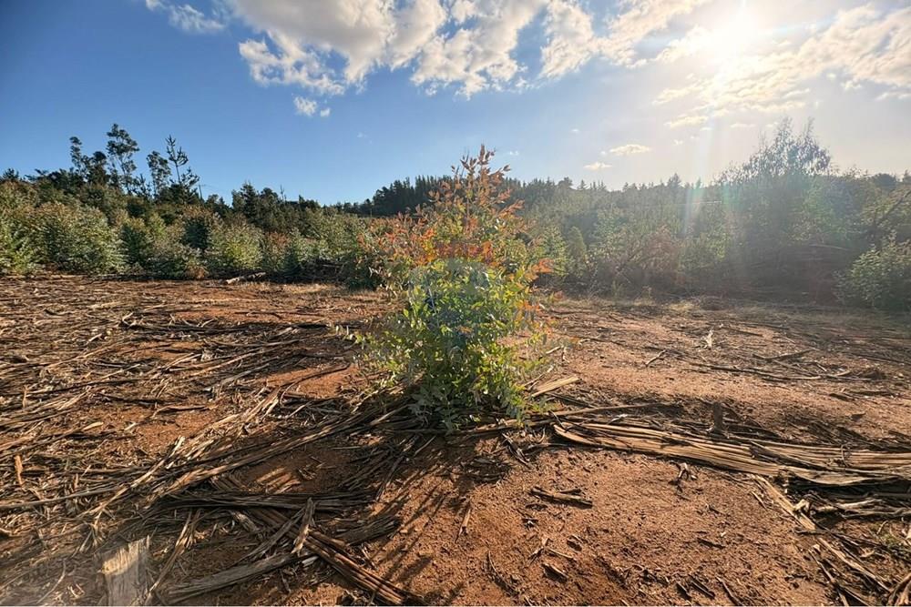 Terreno en venta en Florida — foto 7