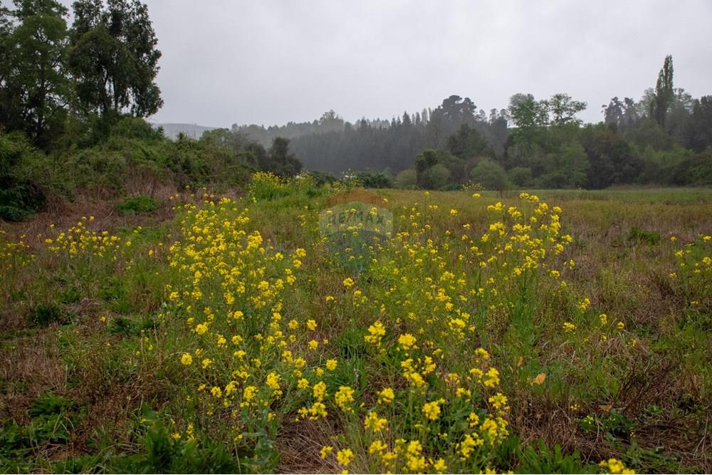 Parcela en venta en La Unión — foto 9