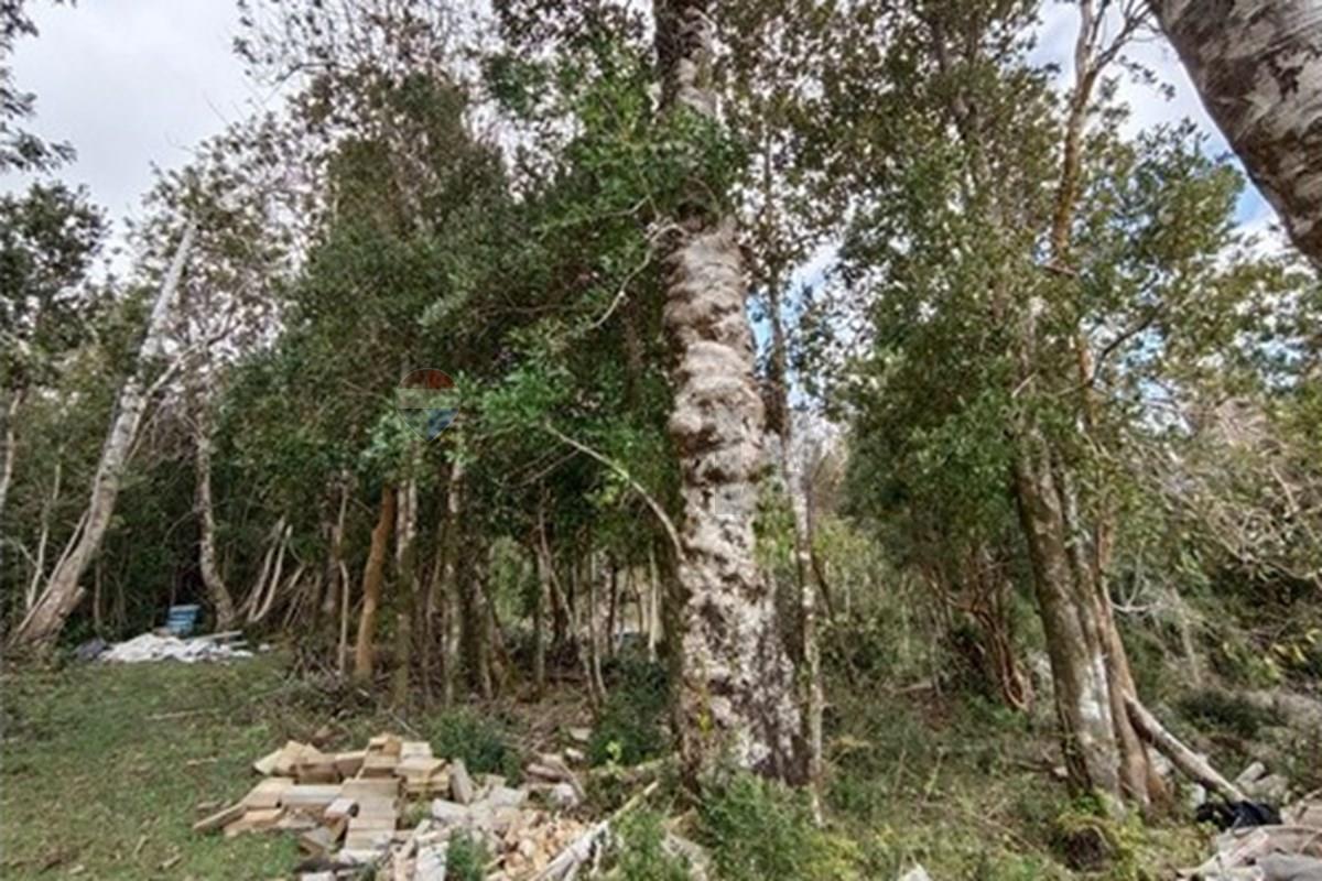 Parcela en venta en Mariquina — foto 2