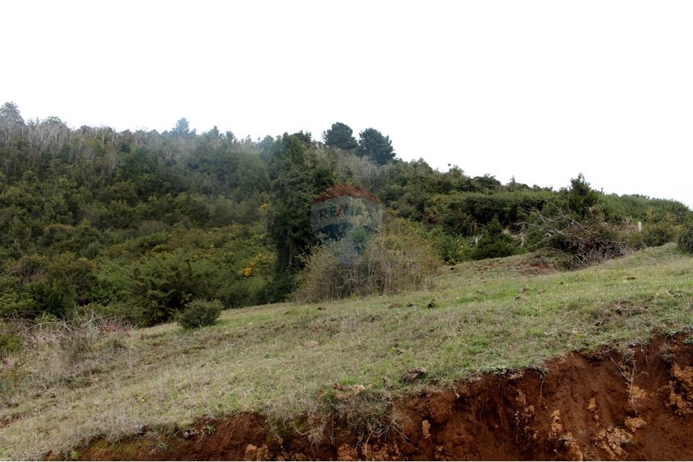 Parcela en venta en Mariquina — foto 9