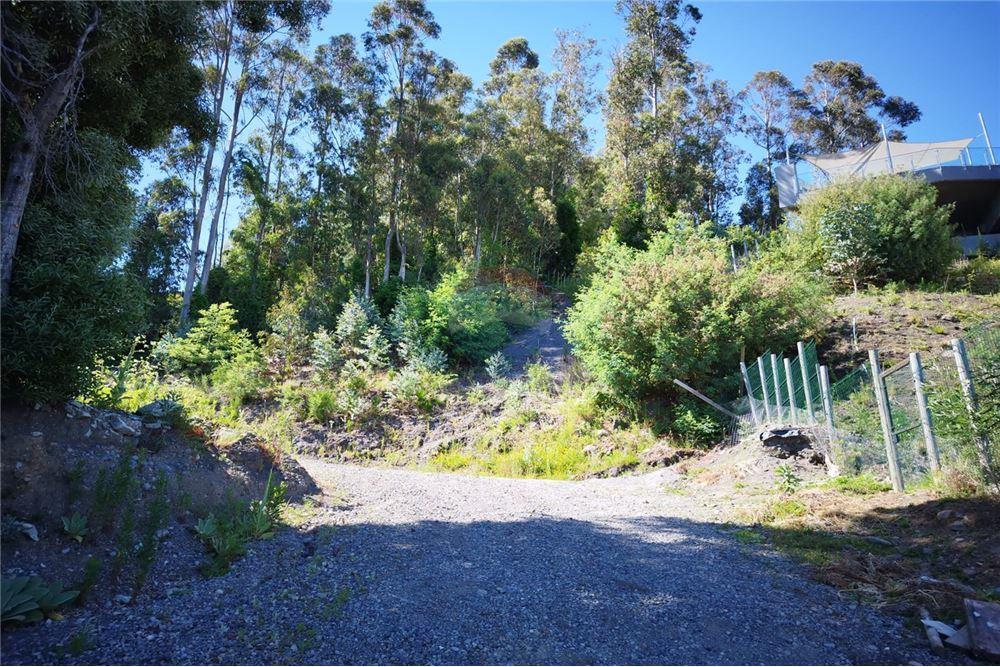 Terreno en venta en Pucón — foto 3