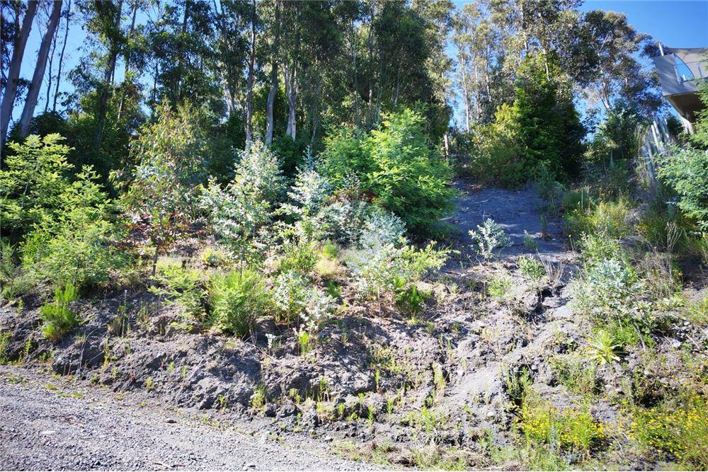 Terreno en venta en Pucón — foto 5