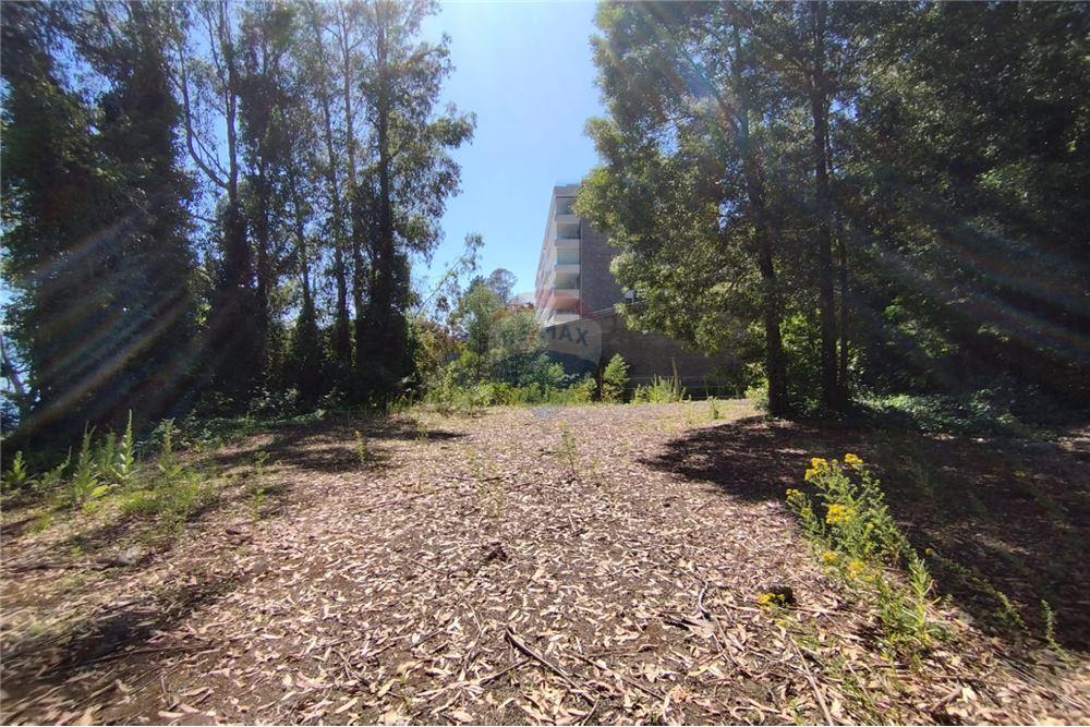 Terreno en venta en Pucón — foto 8