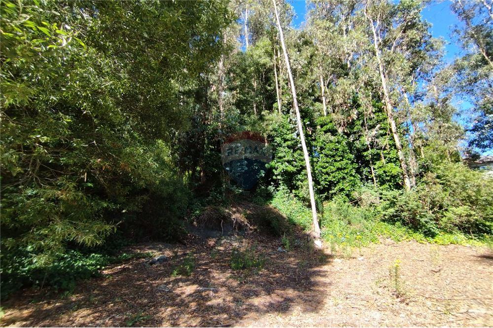 Terreno en venta en Pucón — foto 10