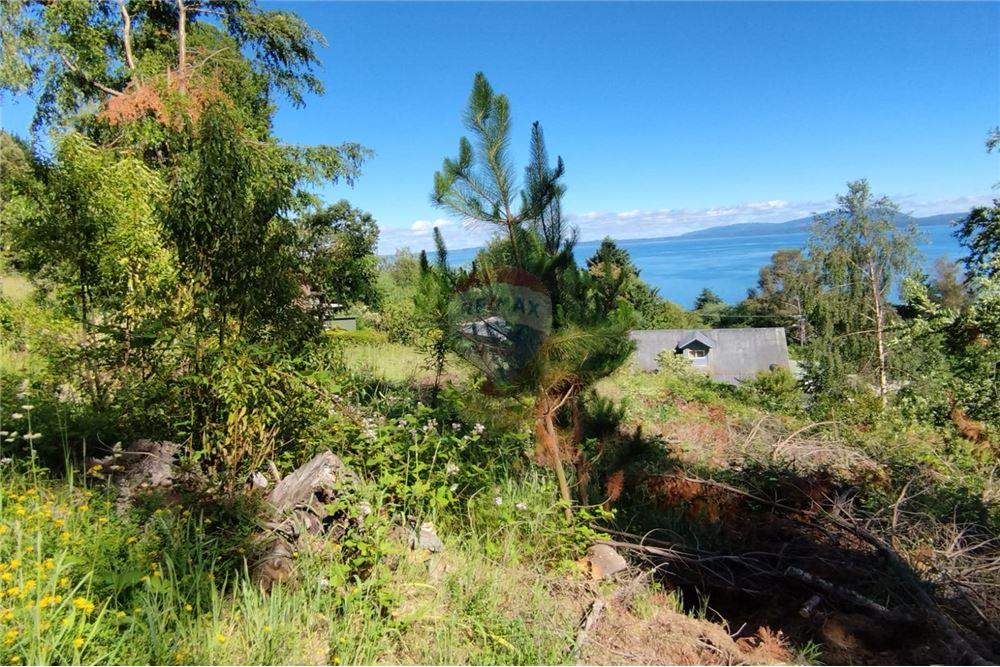 Terreno en venta en Pucón — foto 2