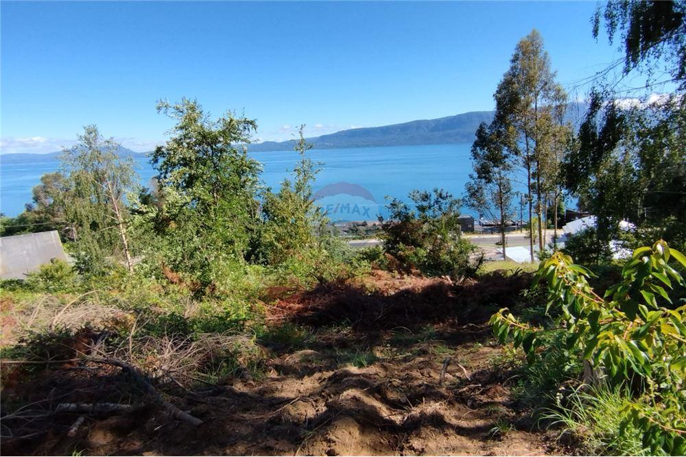 Terreno en venta en Pucón — foto 3