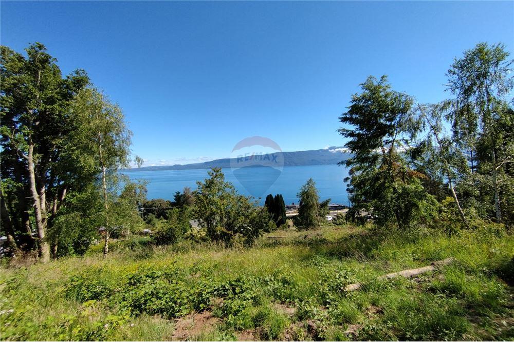 Terreno en venta en Pucón — foto 8