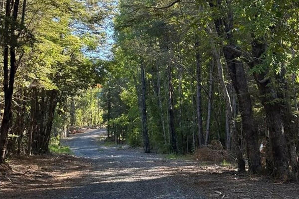 Terreno en venta en Pucón — foto 1