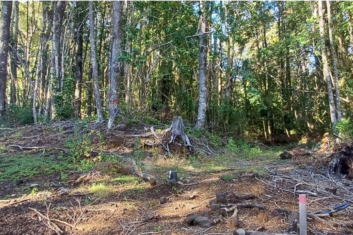 Terreno en venta en Pucón — foto 2