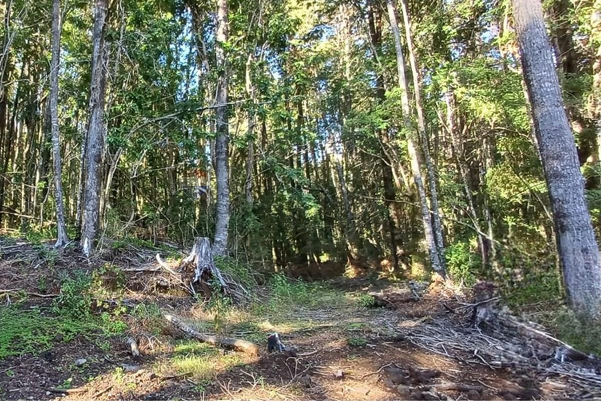 Terreno en venta en Pucón — foto 6