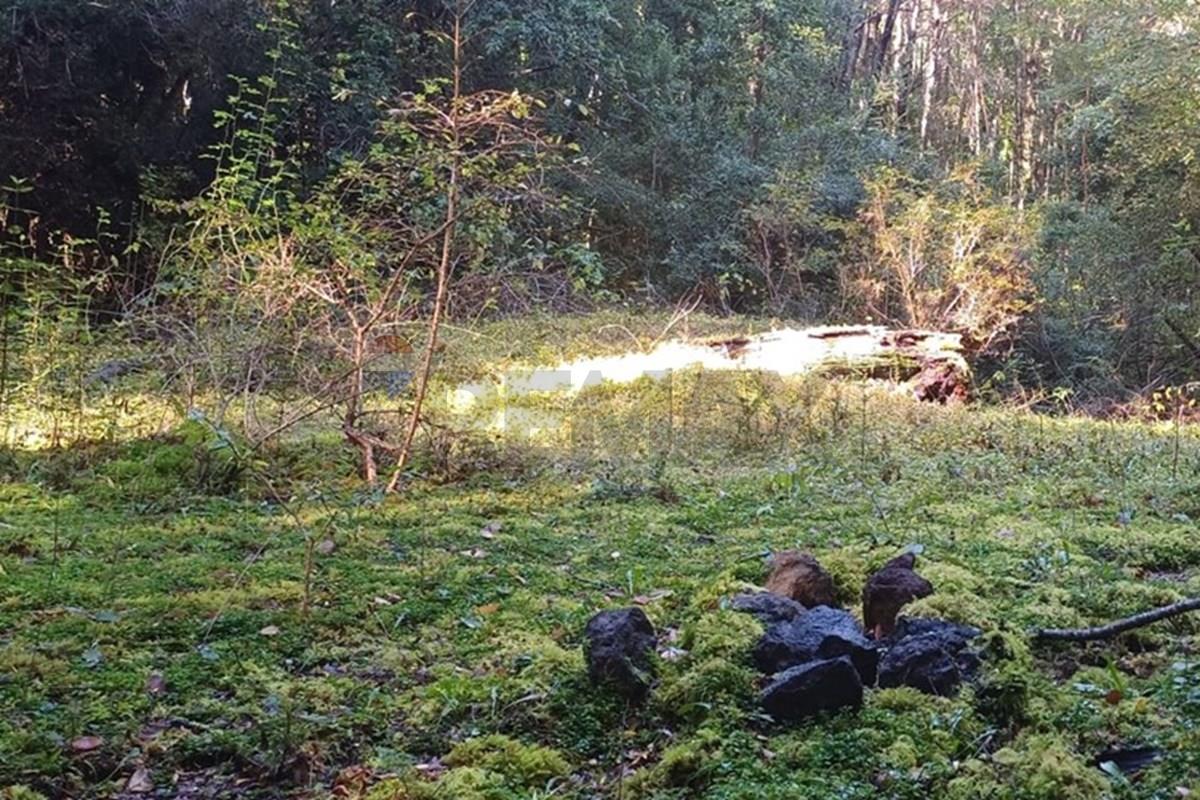 Terreno en venta en Pucón — foto 8