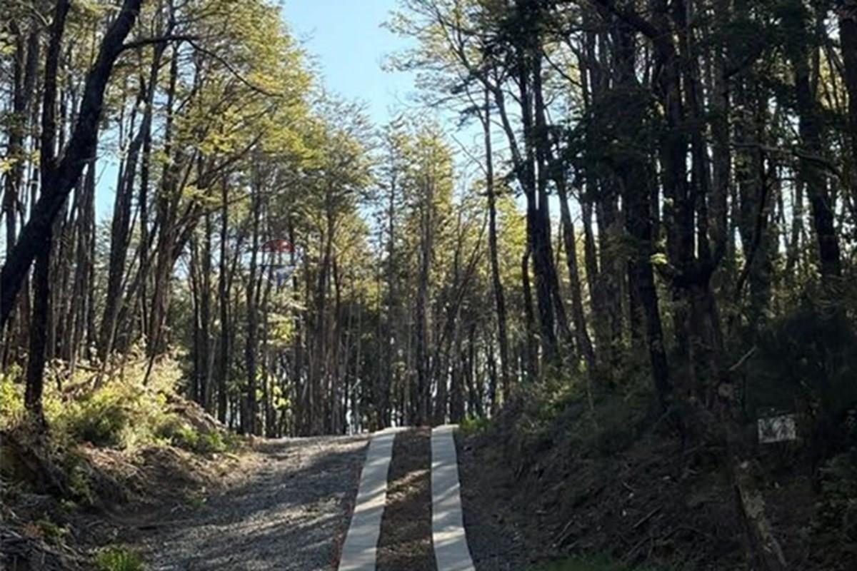 Terreno en venta en Pucón — foto 10