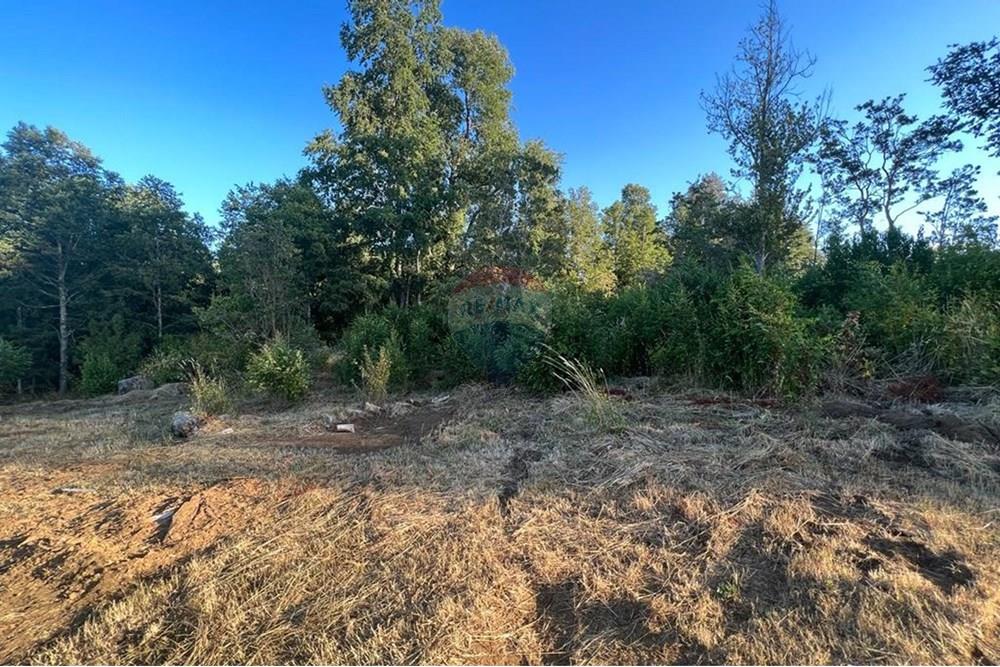 Parcela en venta en Pucón — foto 8