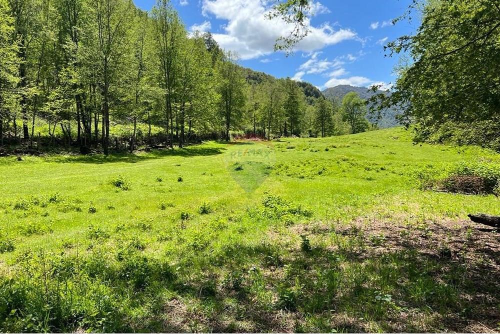 Terreno en venta en Curarrehue — foto 4
