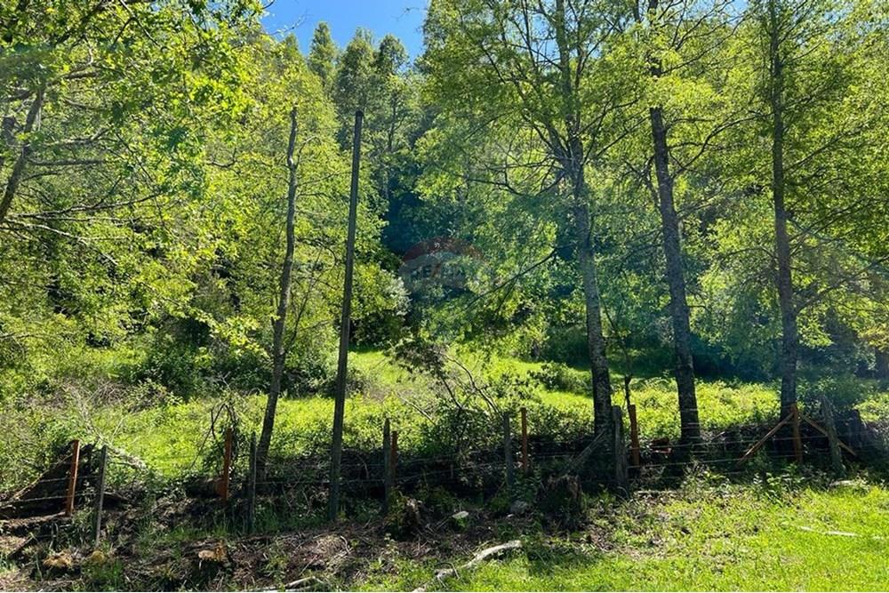 Terreno en venta en Curarrehue — foto 7