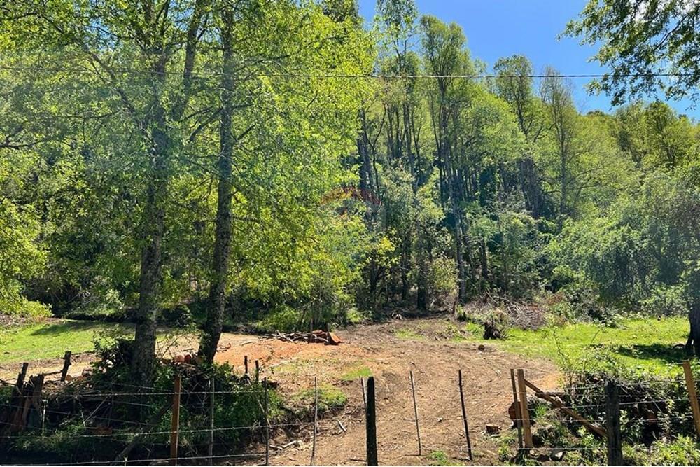 Terreno en venta en Curarrehue — foto 10