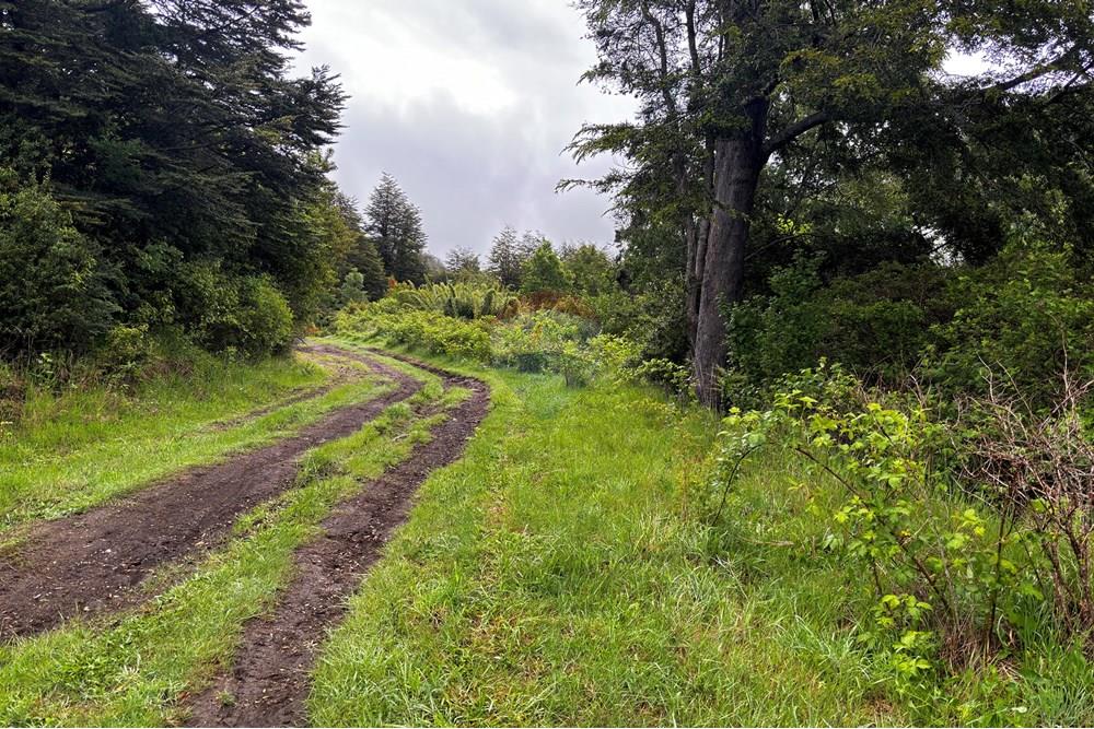 Terreno en venta en Pucón — foto 2