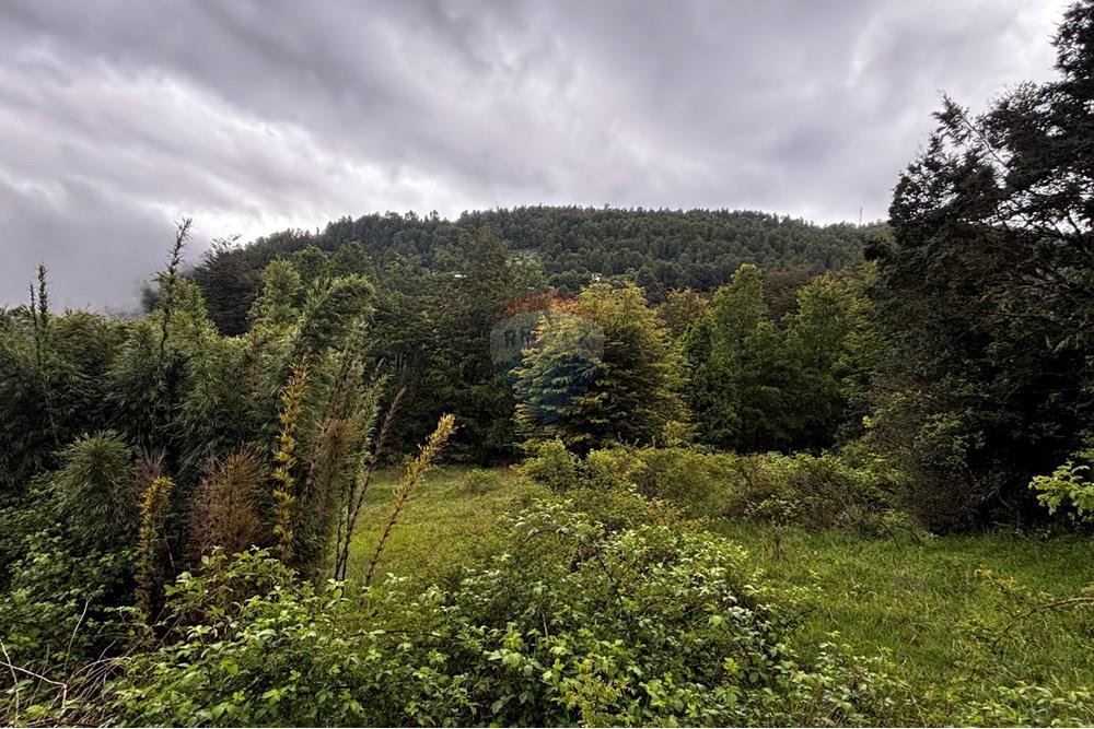 Terreno en venta en Pucón — foto 4