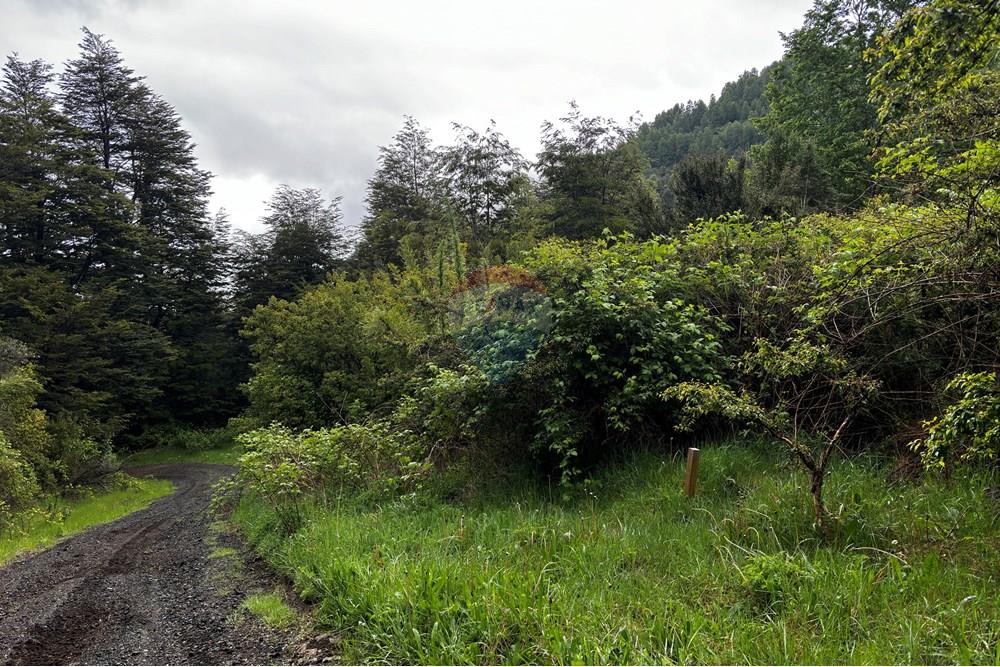 Terreno en venta en Pucón — foto 5