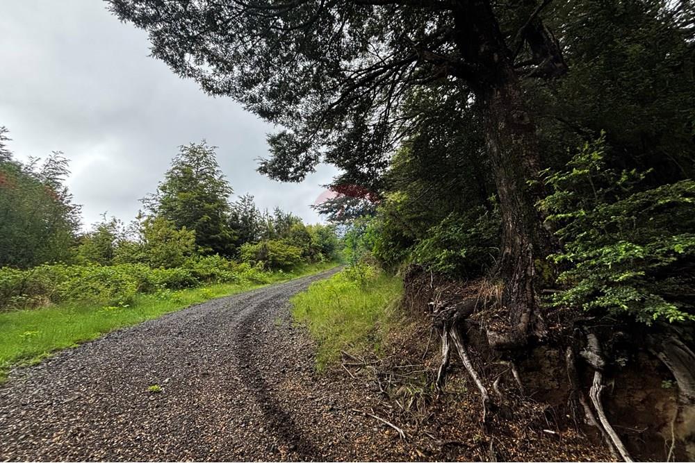 Terreno en venta en Pucón — foto 6