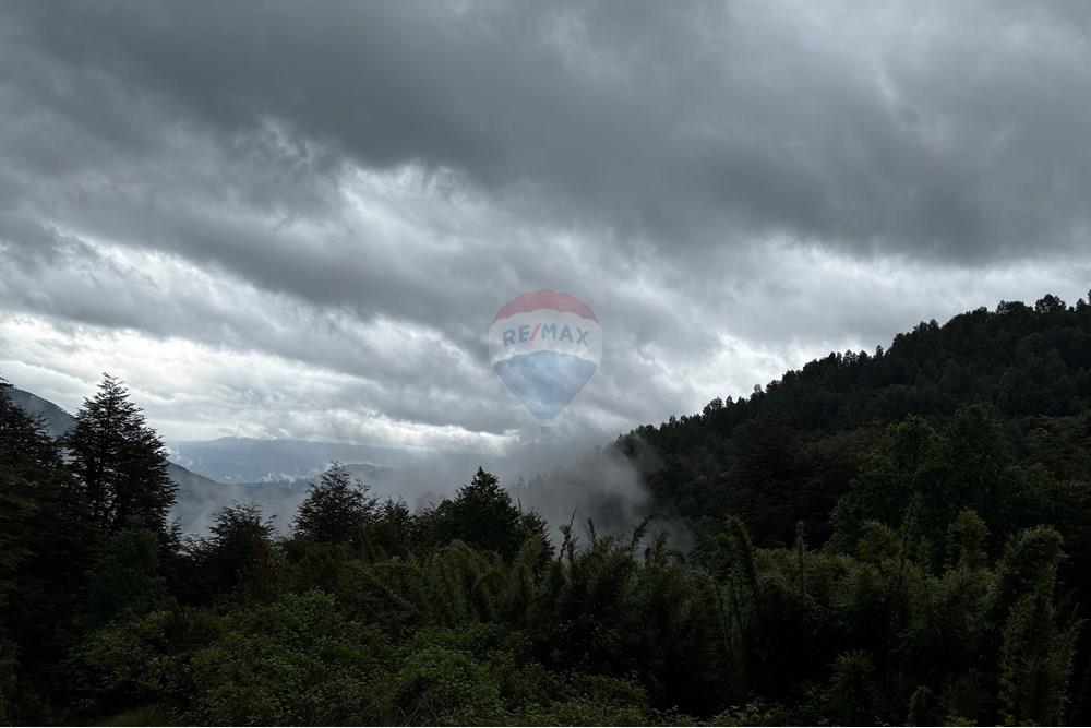 Terreno en venta en Pucón — foto 7