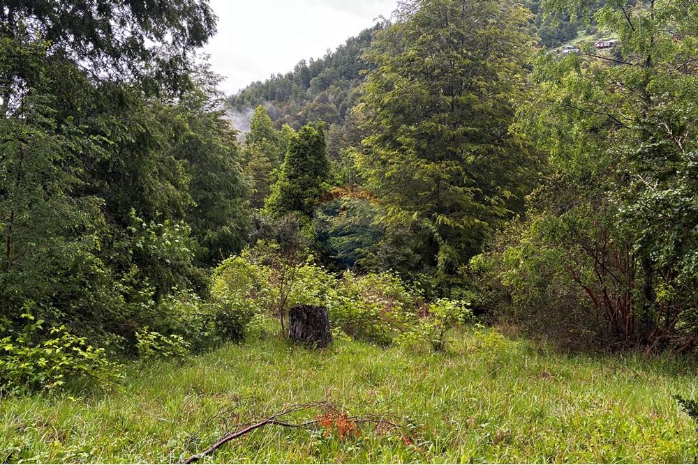Terreno en venta en Pucón — foto 8