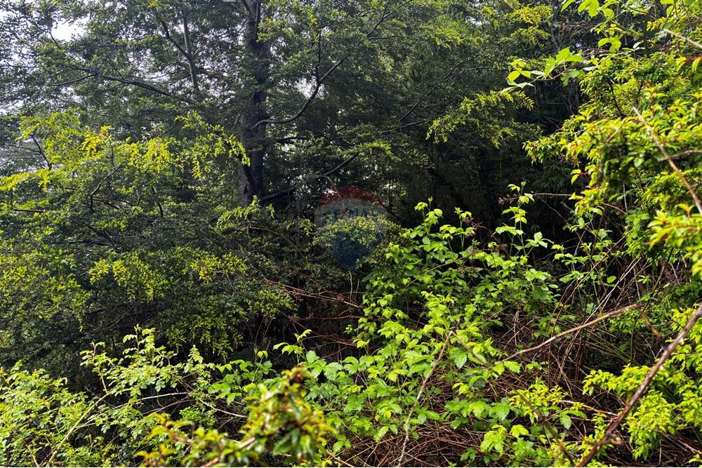 Terreno en venta en Pucón — foto 10