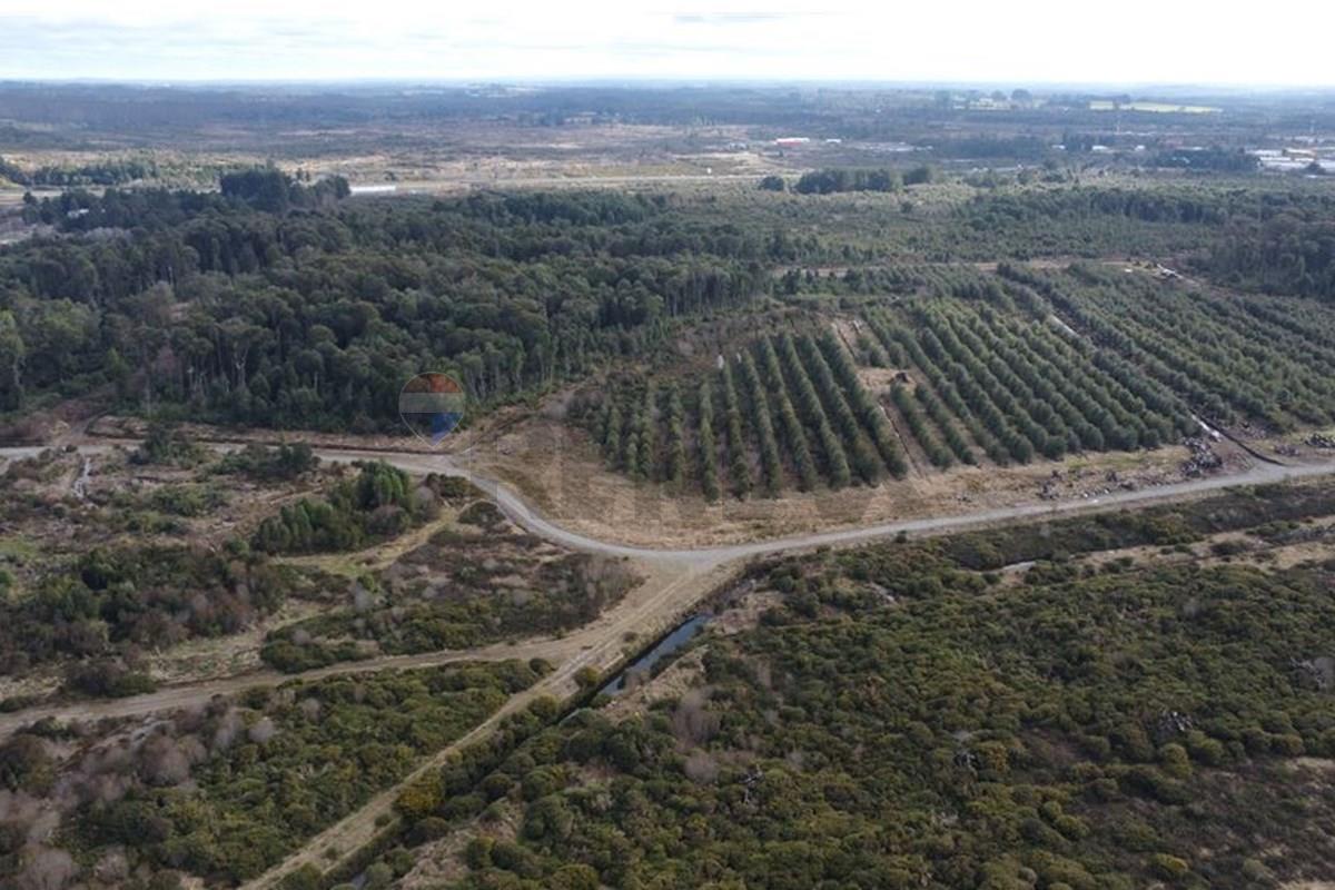 Terreno en venta en Puerto Varas — foto 5