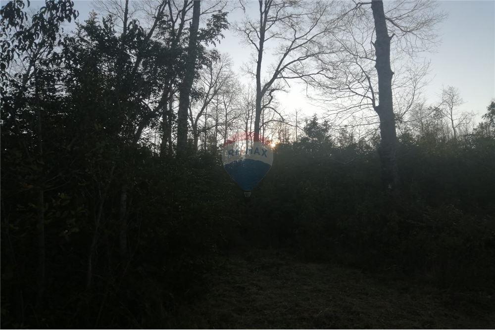 Terreno en venta en Pucón — foto 8