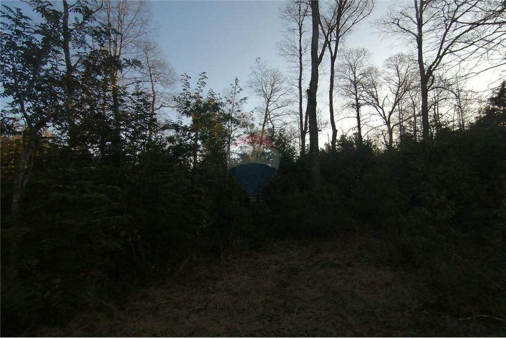 Terreno en venta en Pucón — foto 9