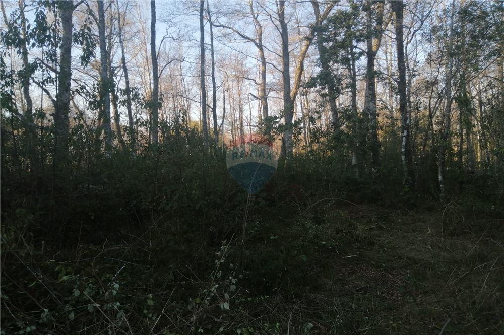 Terreno en venta en Pucón — foto 10
