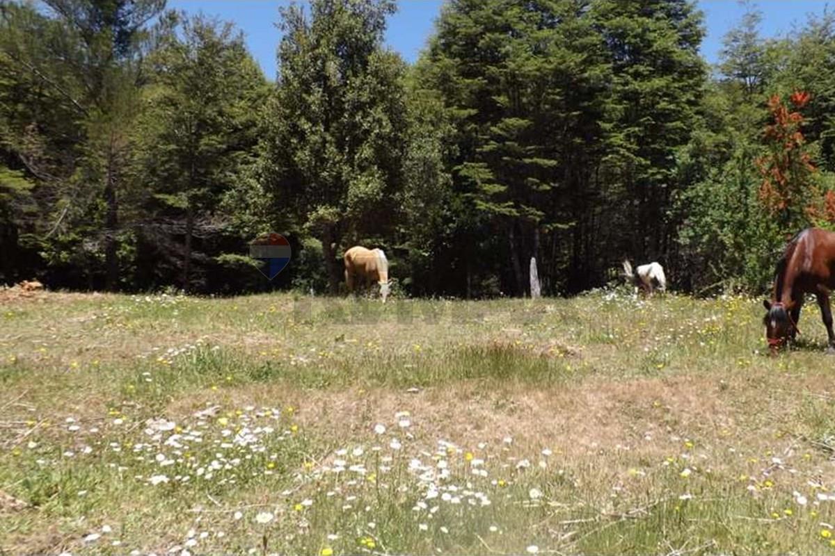 Terreno en venta en Pucón — foto 2