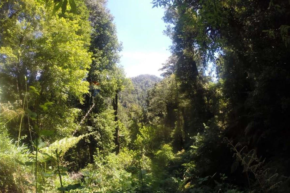 Terreno en venta en Pucón — foto 6