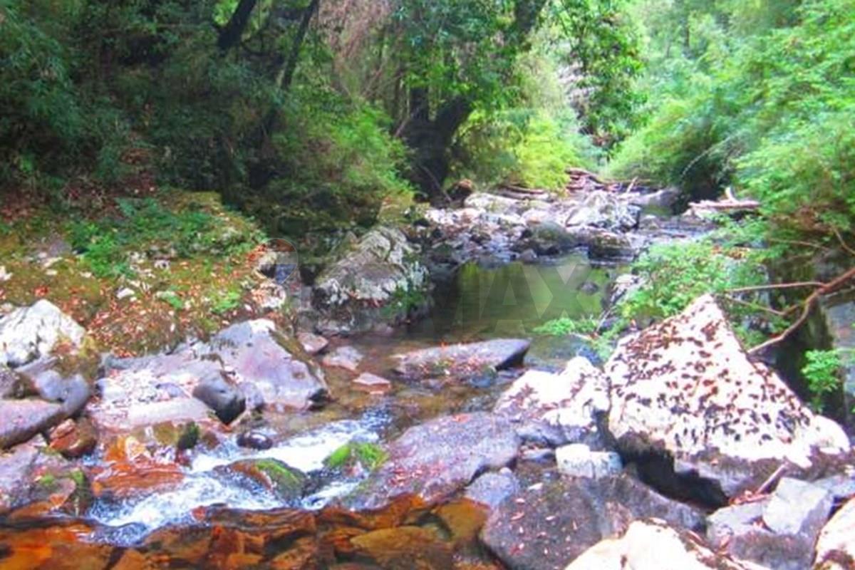 Terreno en venta en Pucón — foto 8