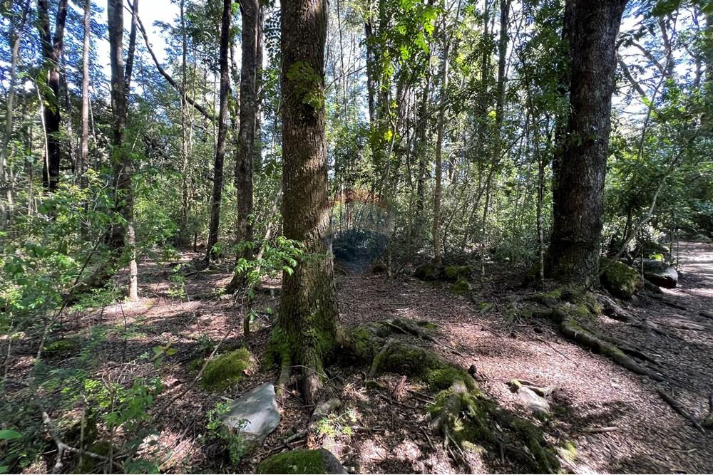Terreno en venta en Pucón — foto 1